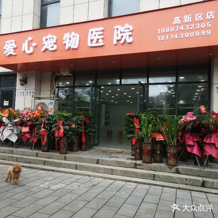 爱心宠物医院(高新区店)