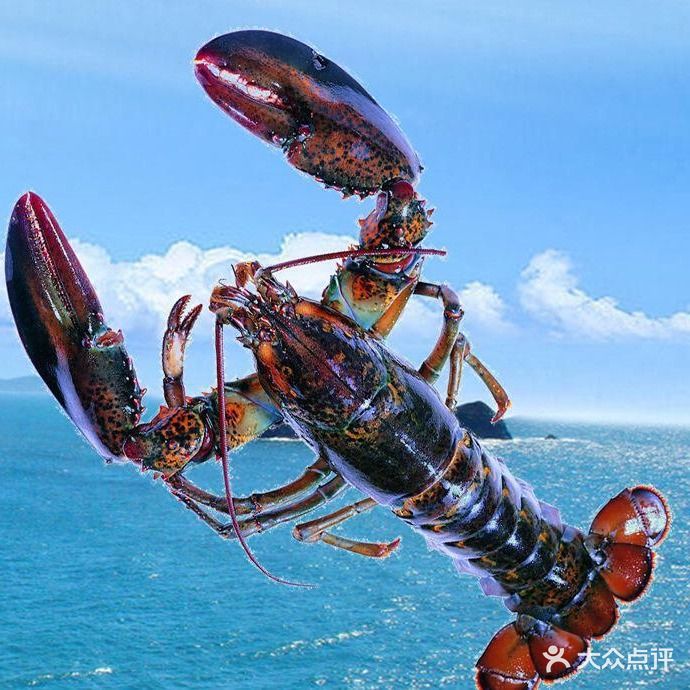 漂洋过海海鲜餐厅连锁店(第三浴场店)