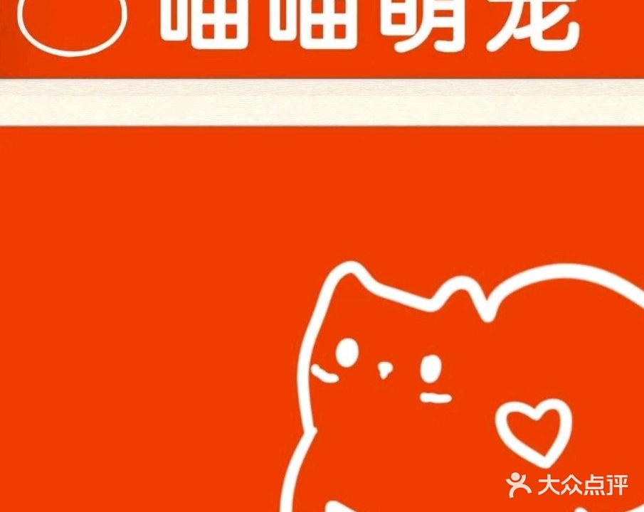 喵喵萌宠·猫洗澡·猫咪领养