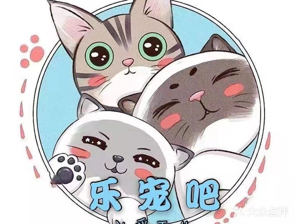 乐宠吧·高端宠物SPA·犬猫分区·伊珊娜精洗