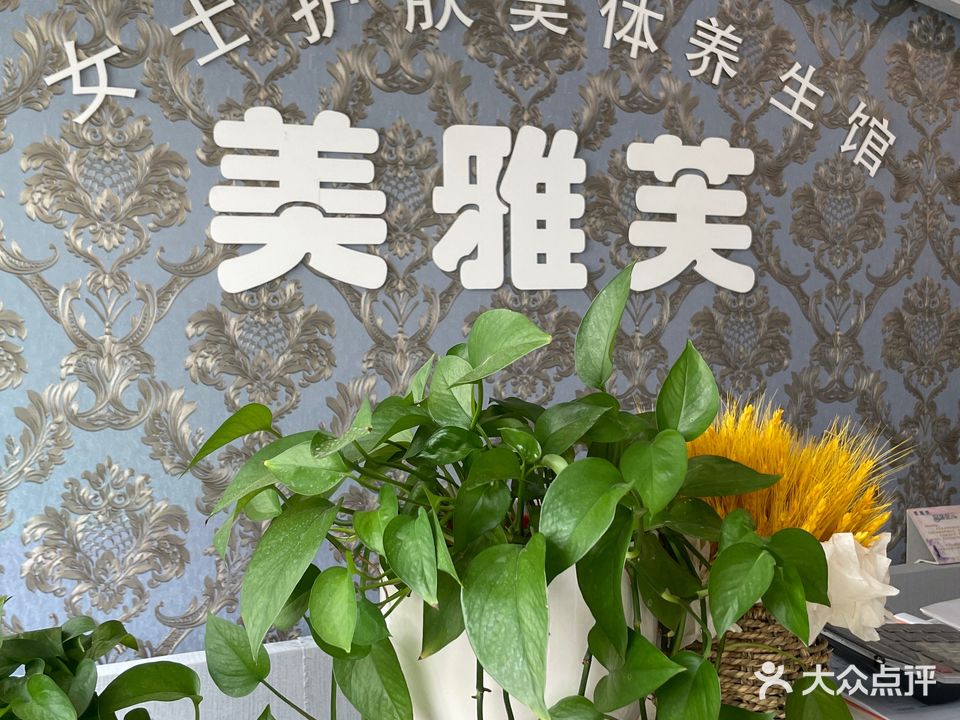 美雅芙美容SPA(建干路店)