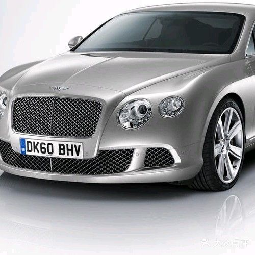 金蚂蚁汽车服务(桃园人家店)