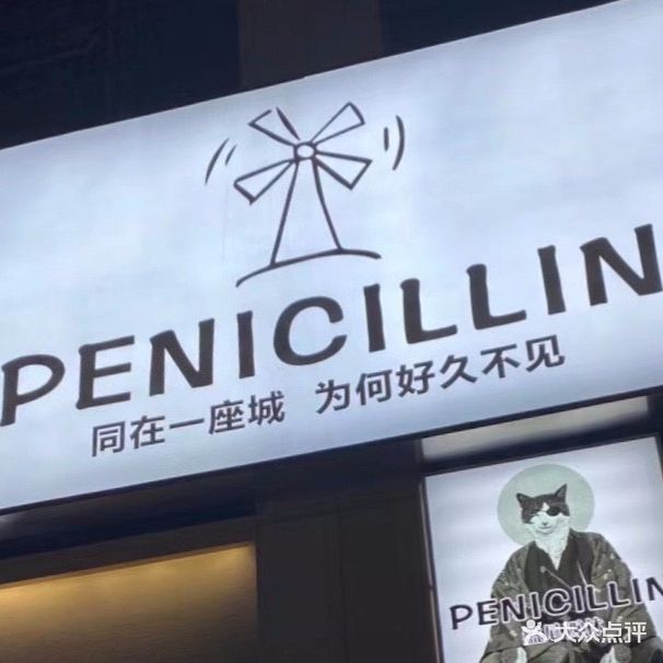 PENICILLIN 盘尼西林