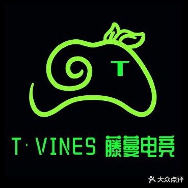 T·VINES藤蔓电竞(托米社区店)