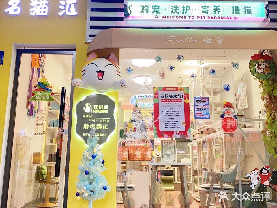 名猫汇(新生路店)