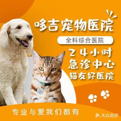 哆吉动物医院·猫科·骨外科诊疗中心(宜人路店)