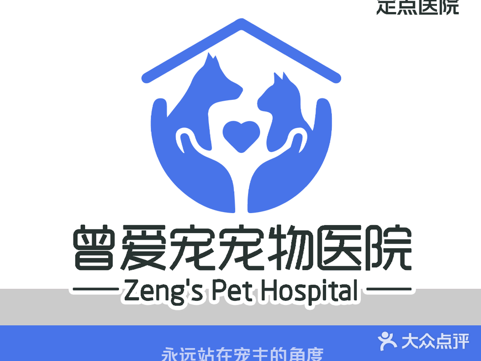 曾宠宠物医院·眼科·猫科·内窥镜