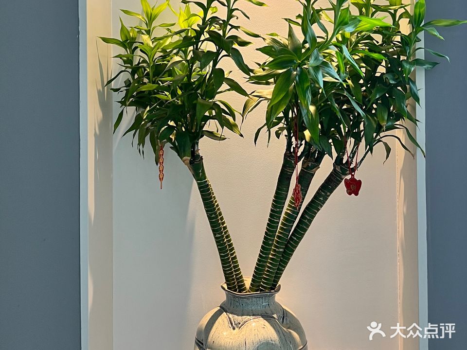 唐潮形象设计