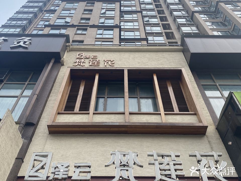 泽云梵莲花(经投店)