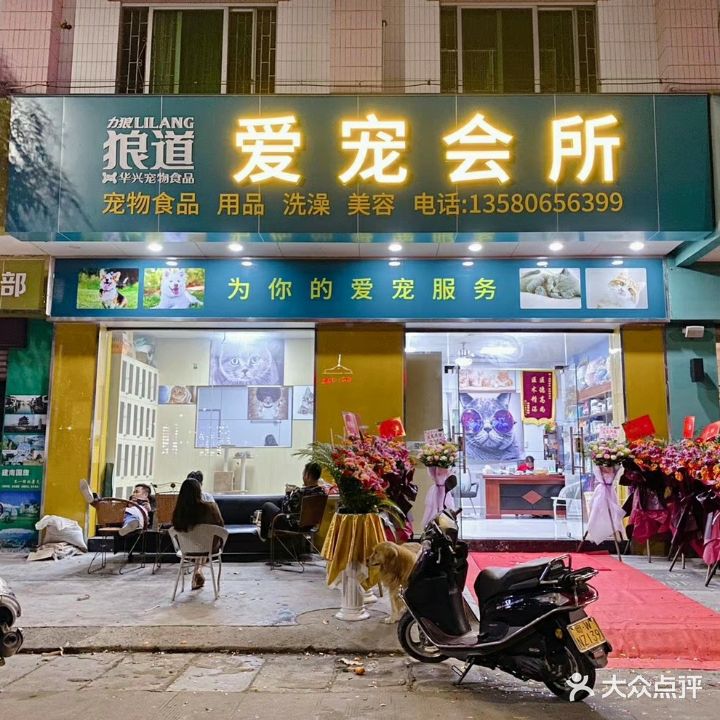 爱宠会所(云浮新兴县)