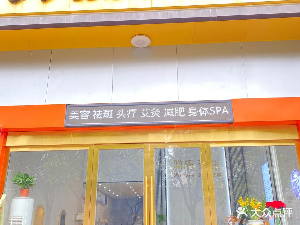 羽乐养生头疗SPA