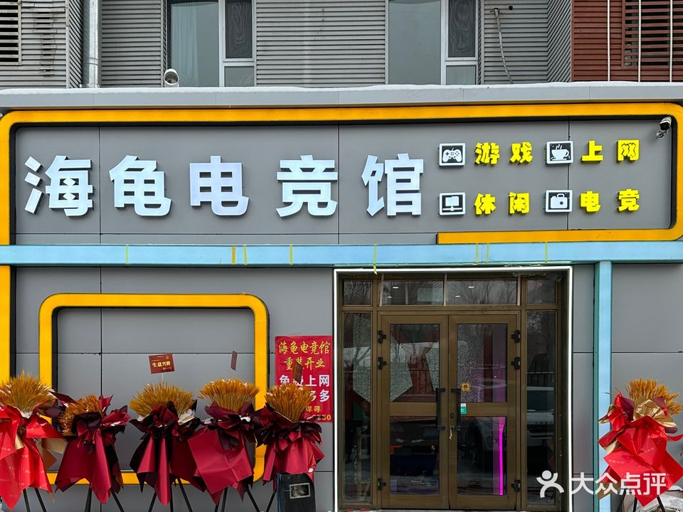 海龟网咖(昆仑路店)