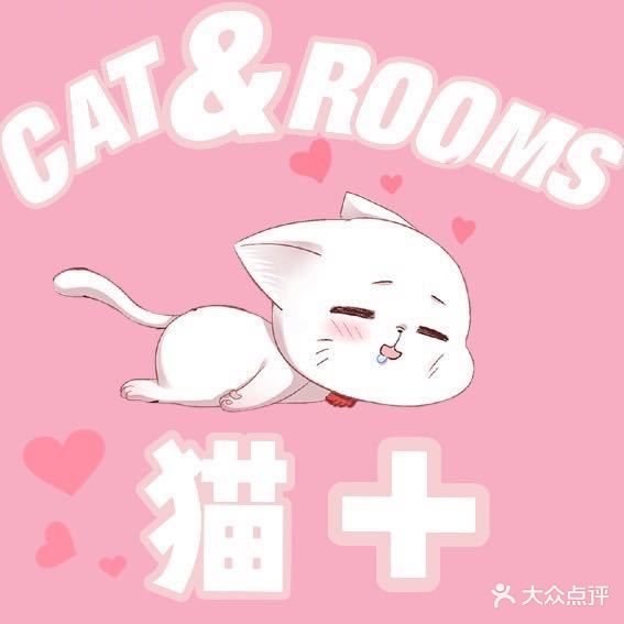 猫加宠物店