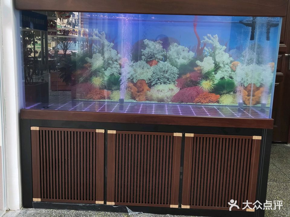 嘉业水族馆
