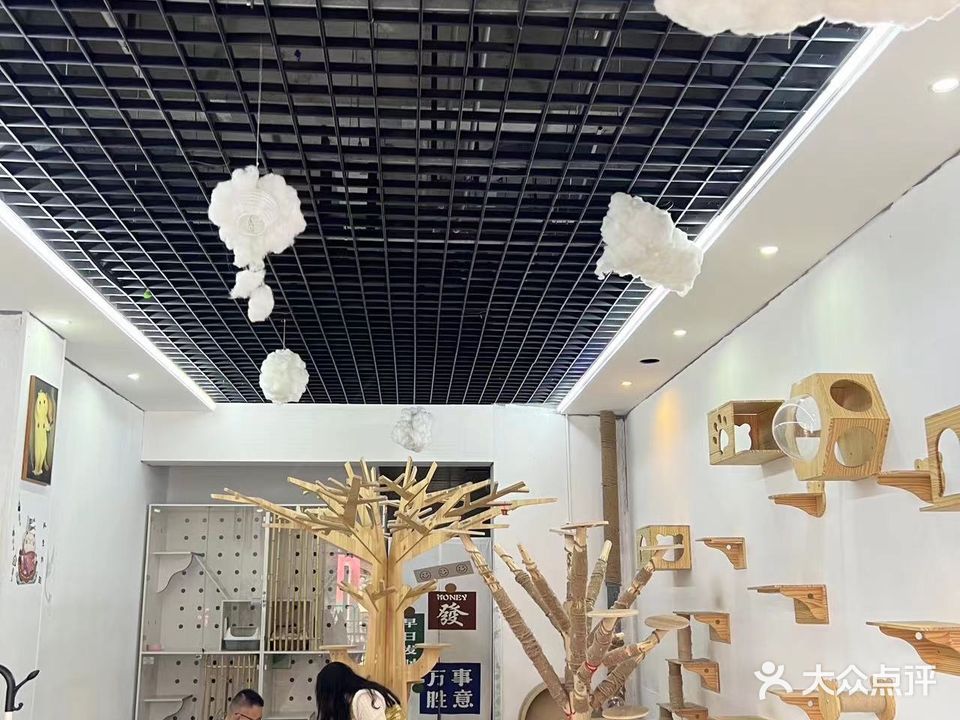 一念撸猫馆(万达广场乌海店)