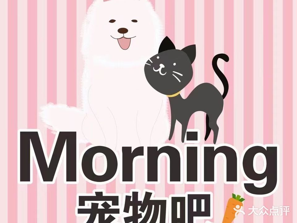 morning宠物吧(华新枫叶山生活小区店)