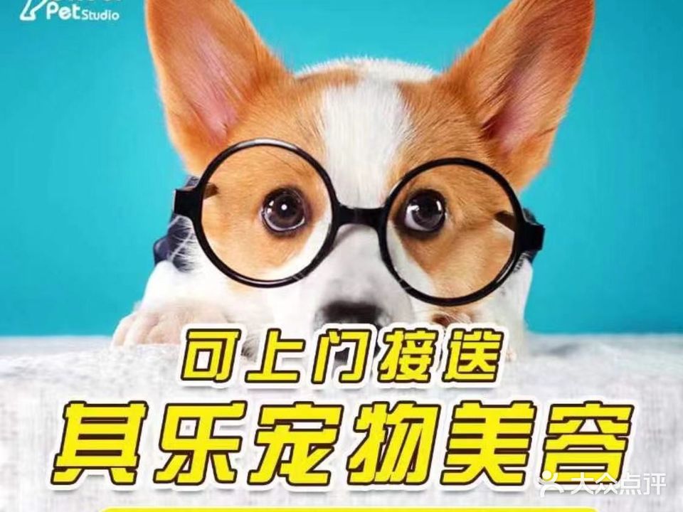 其乐宠物(站前路店)