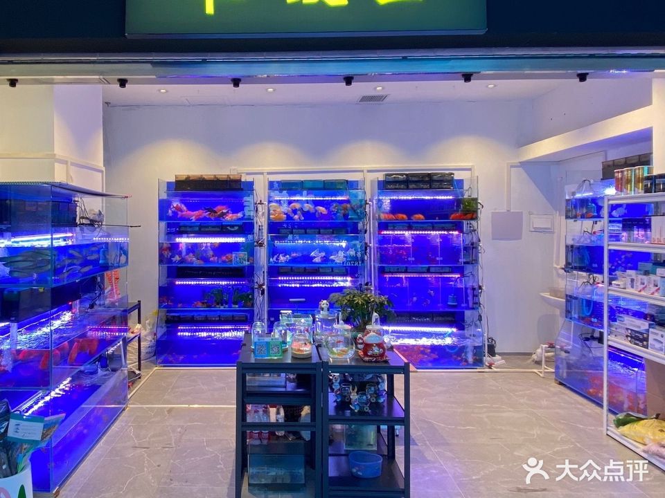 友鱼水族店