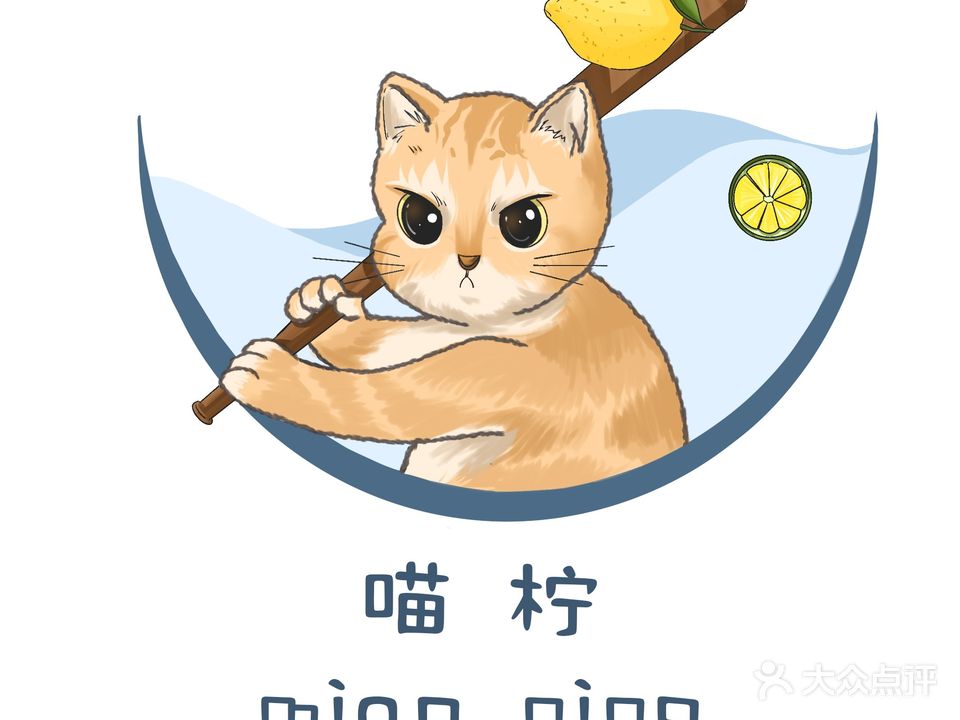 喵柠·撸猫·猫咖