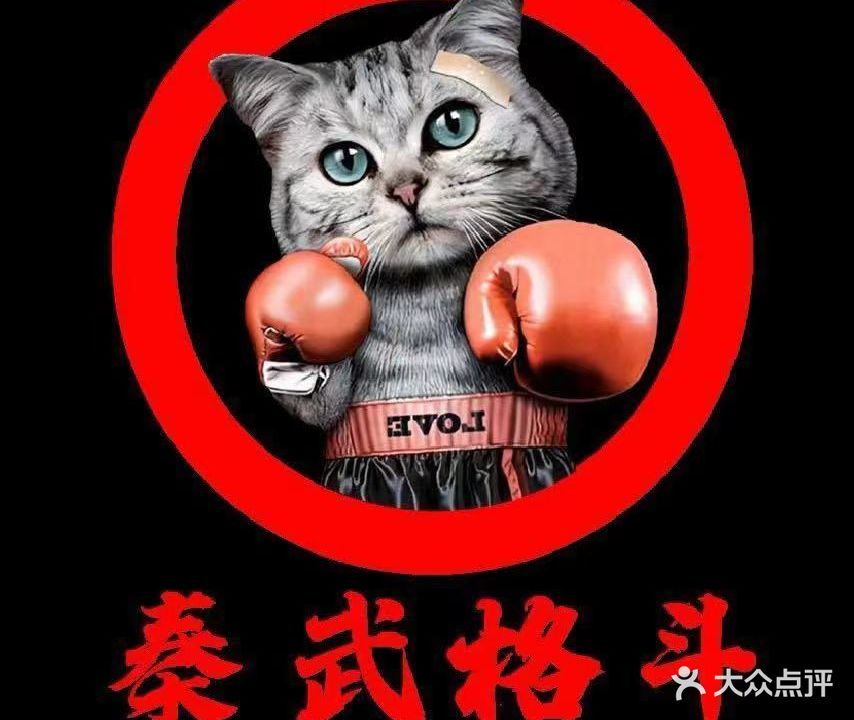 秦武格斗健身工作室(开发区馆)