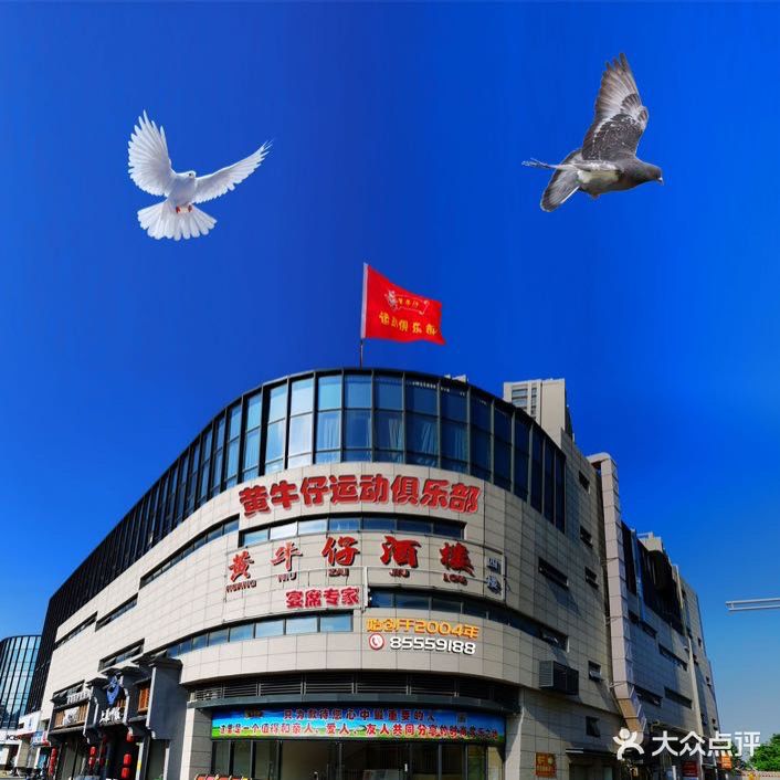 黄牛仔大酒楼