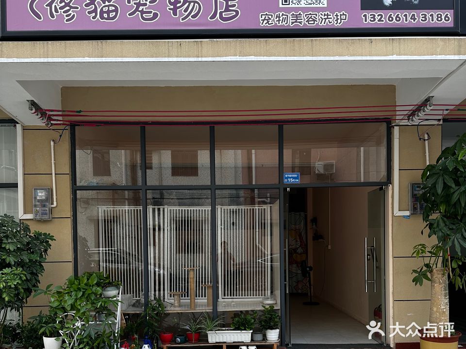 修猫宠物店