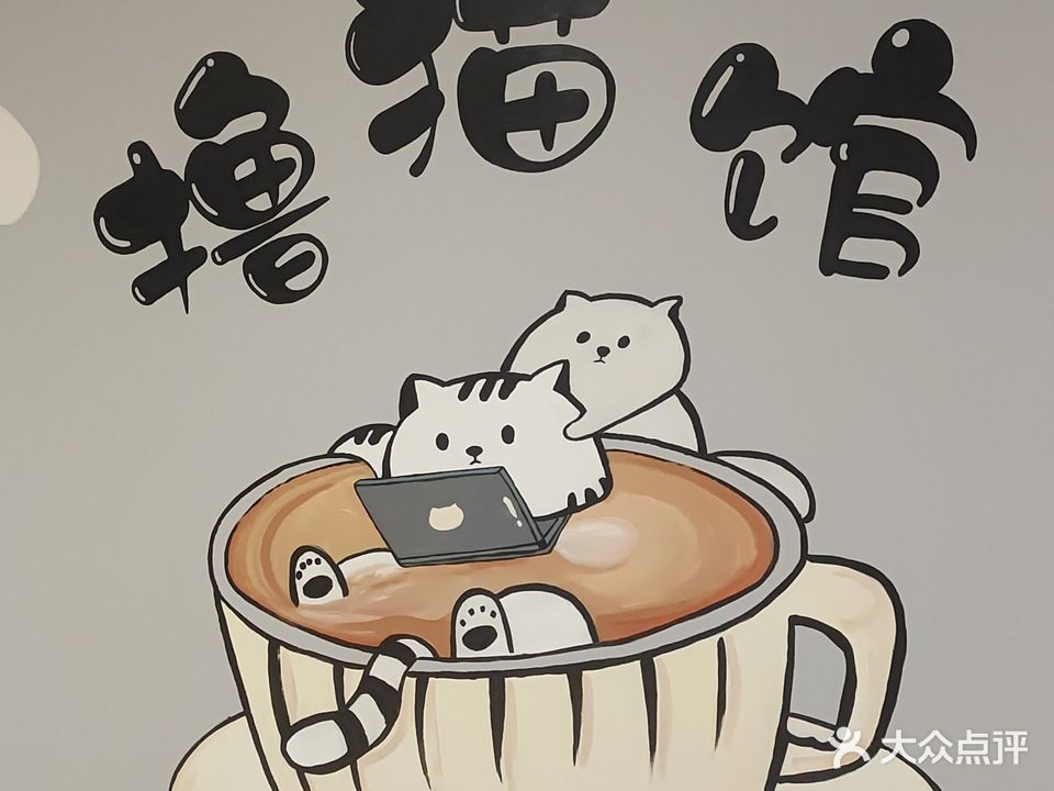 猫咖爱若渴宠物乐园
