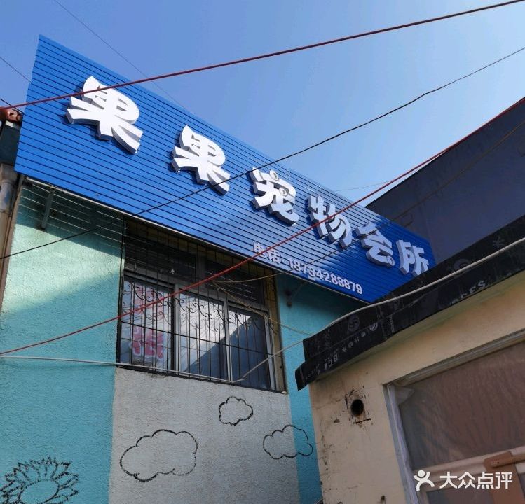 果果宠物