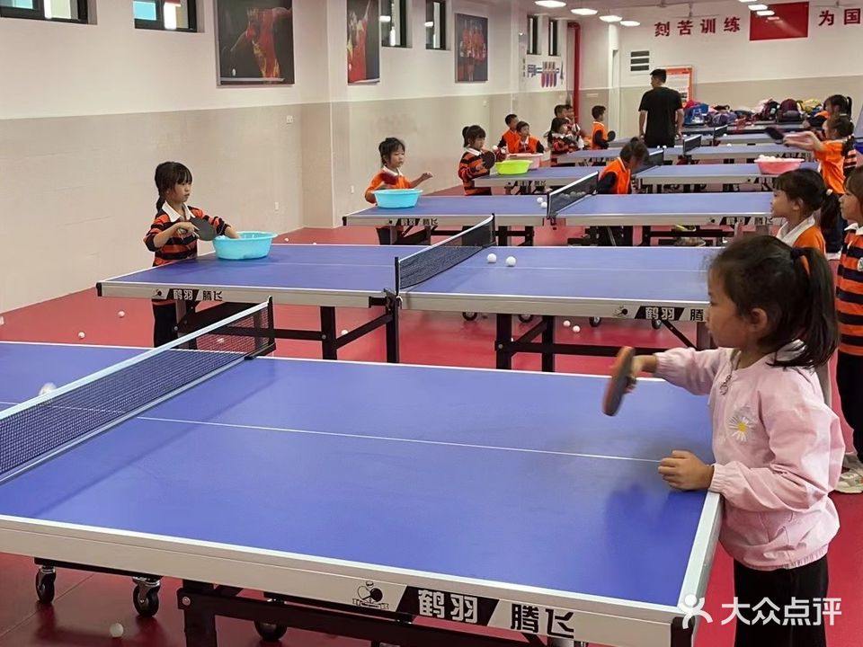 博思勤乒乓球(智谷店)