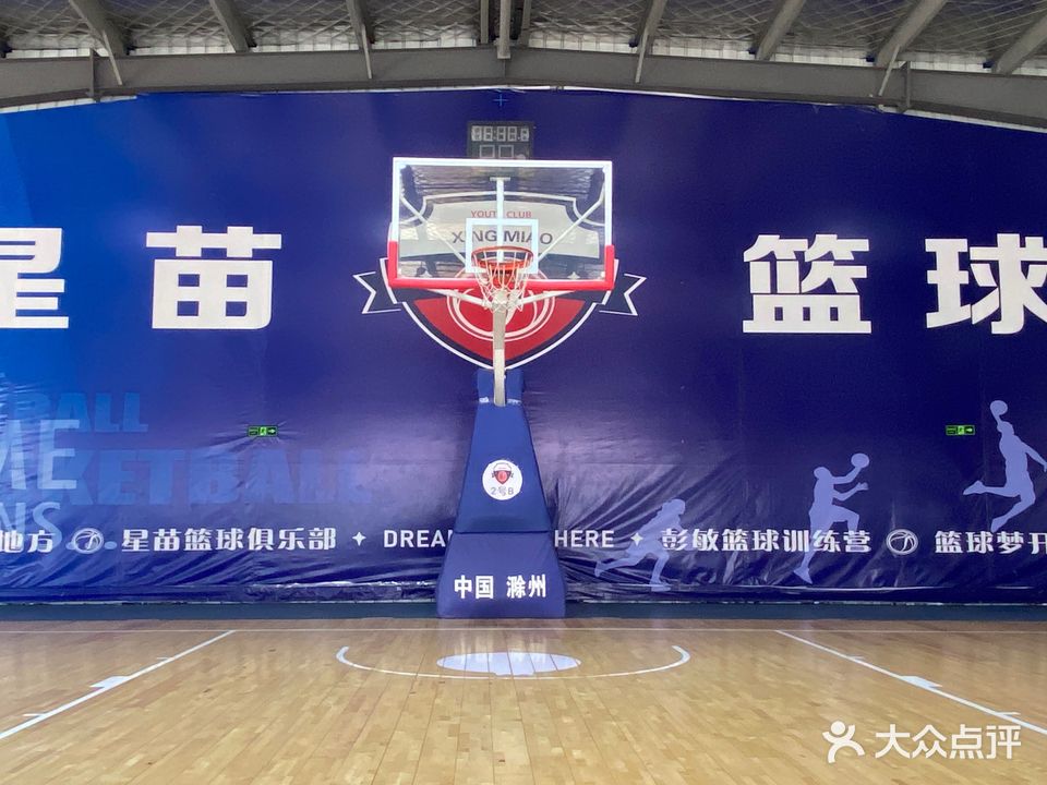 星苗篮球俱乐部。(高新店)