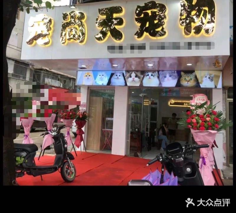 宠尚天动物(流沙大道店)