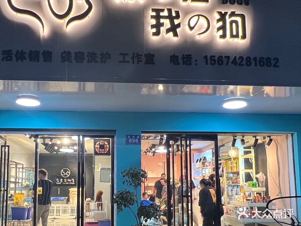 你的猫我的狗