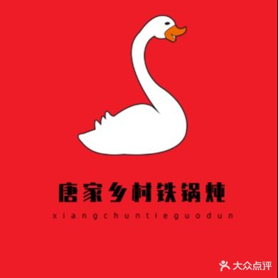 唐家乡村铁锅炖(吾悦广场店)