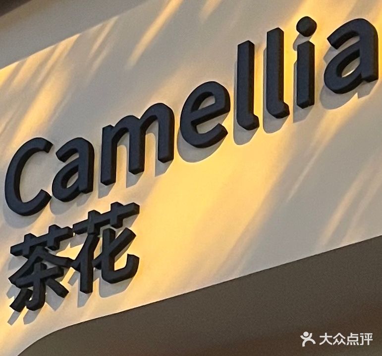 茶花Camellia