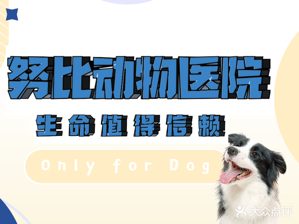 努比动物医院
