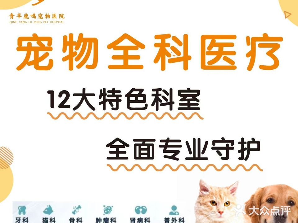 青羊鹿鸣宠物医院