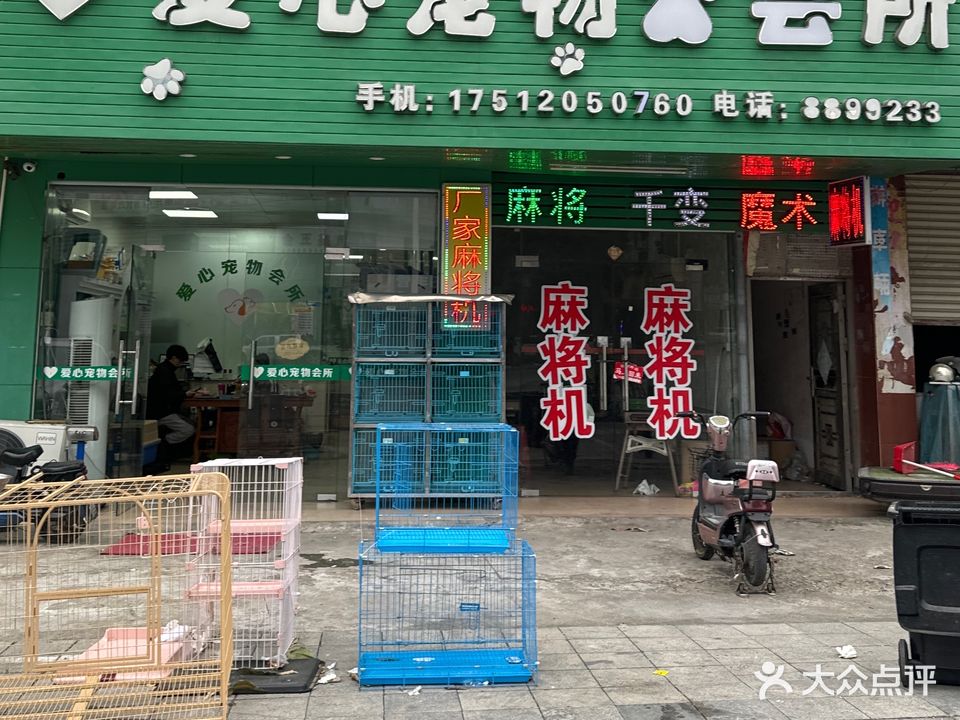 爱心宠物会所(惠东大道店)