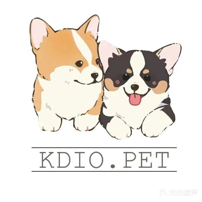 卡弟淘宠物KDIO·PET