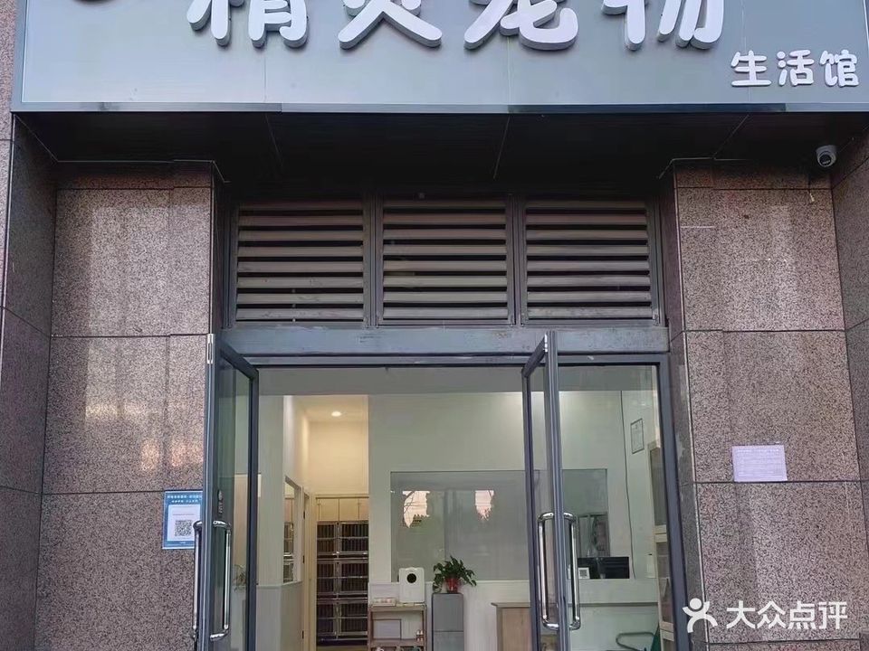 精灵宠物生物馆(奕铭·阳光城西苑店)