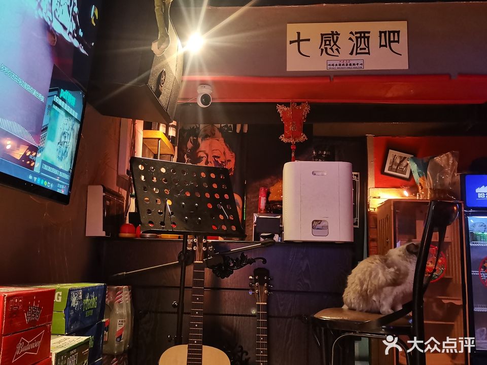 七感猫咖酒吧(通宵店)