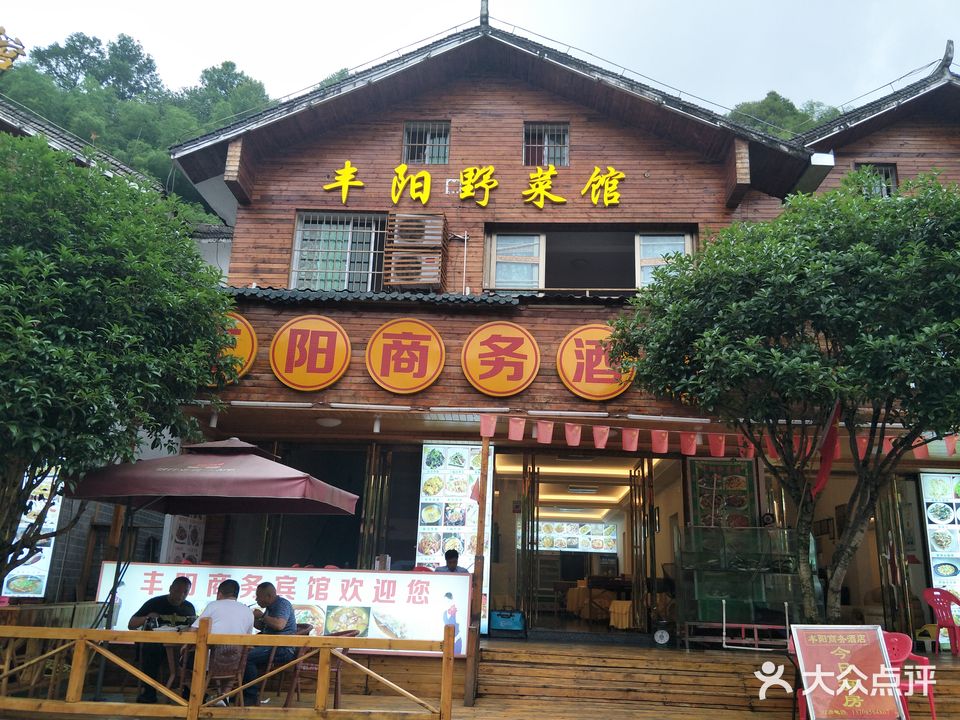 丰阳野菜馆