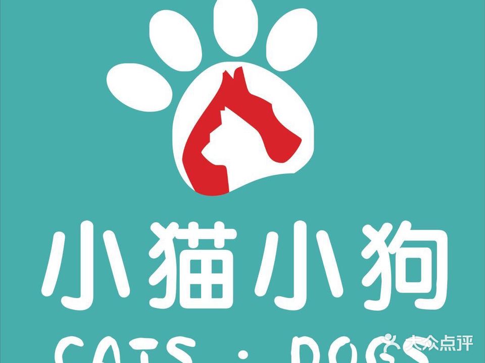 小猫小狗动物医院