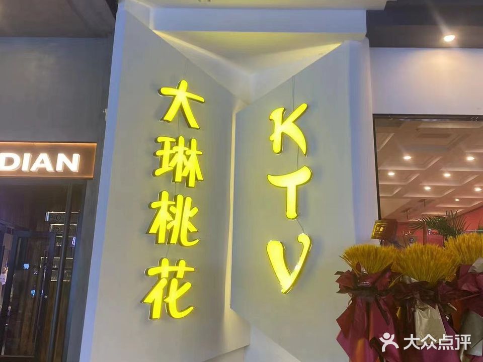 大琳桃花KTV