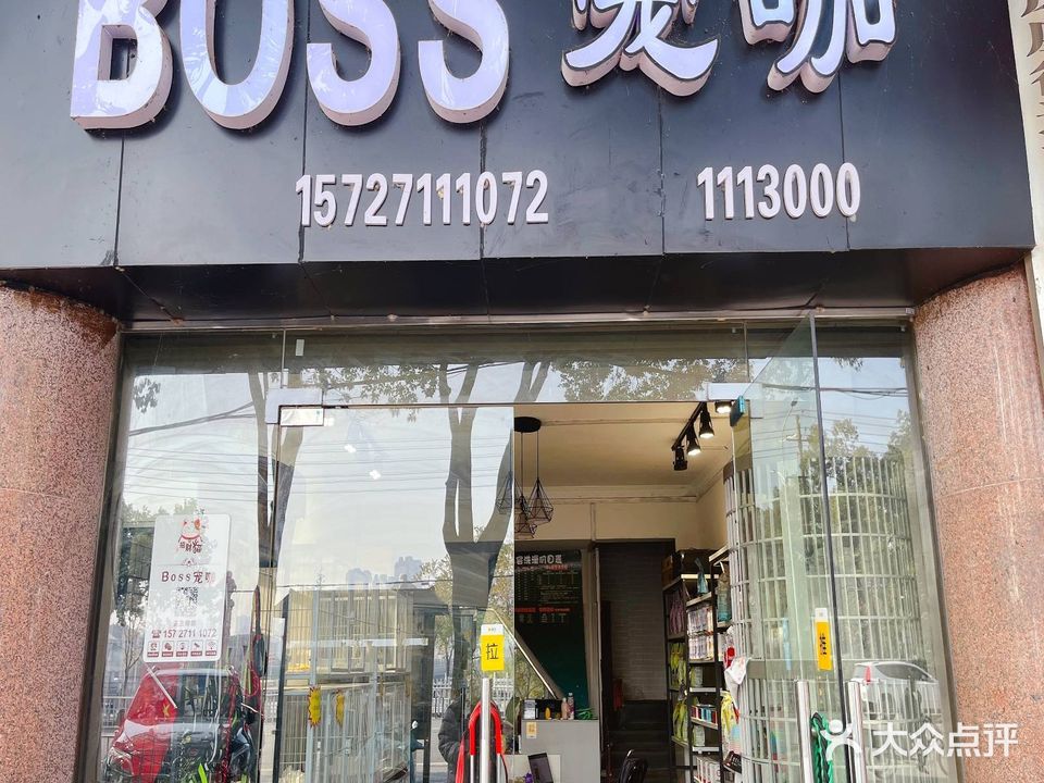 BOSS宠咖