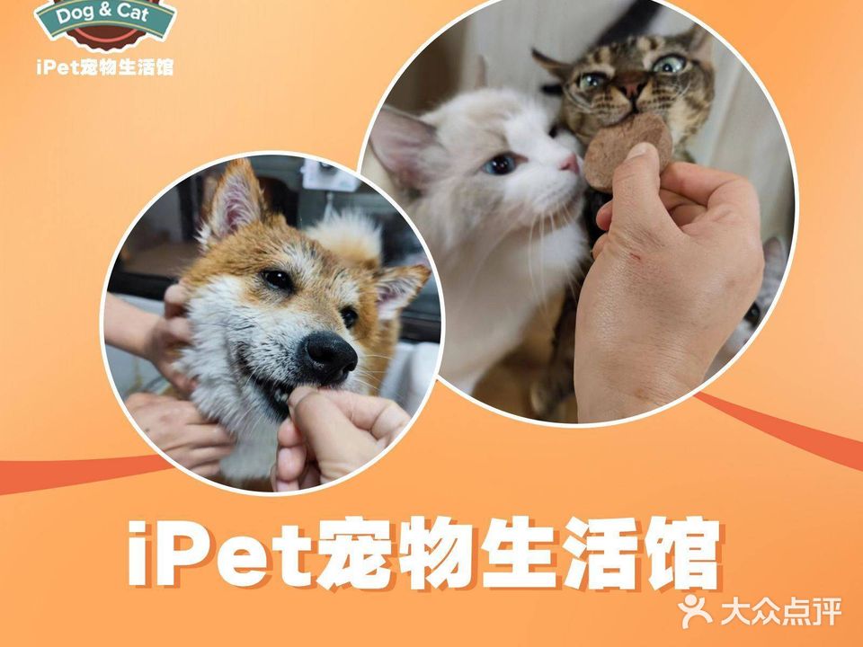 ipet宠物生活馆