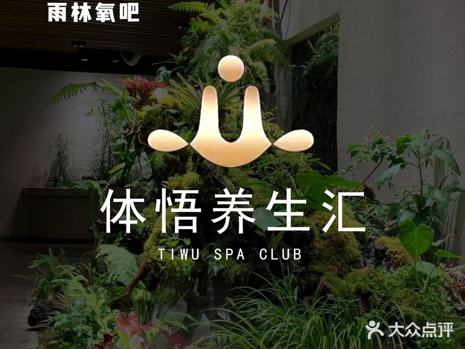体悟养生汇(金钟大雁城店)