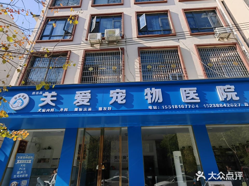 关爱宠物医院(谷阳路店)