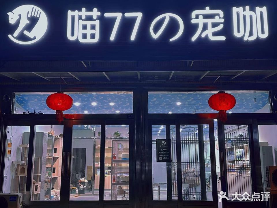 喵77宠咖