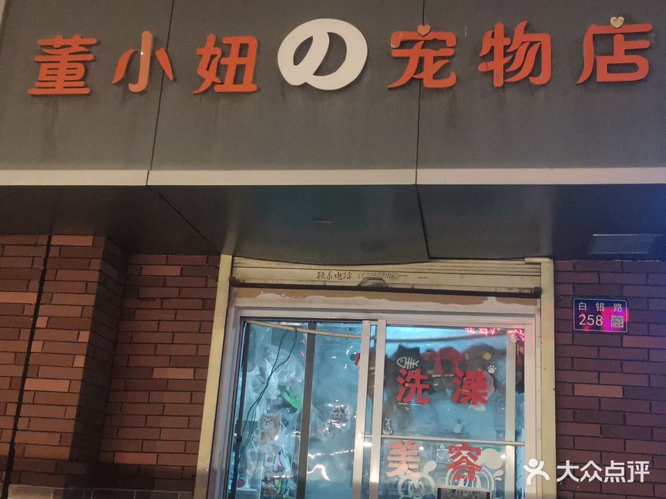 董小妞的宠物店