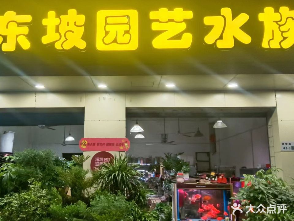 东坡园艺水族(丹坑油蔗坑小区店)